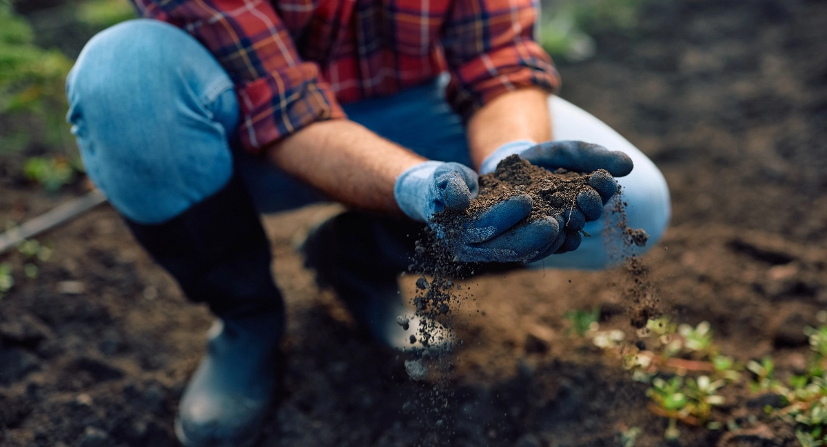 soil conservation practices