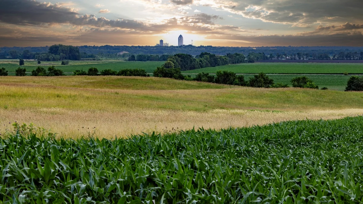 Buying Iowa Farmland