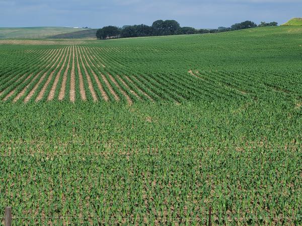 Farm Real Estate