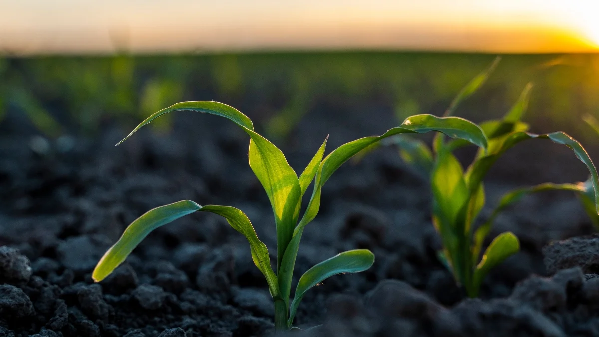 organic farming program in South Dakota