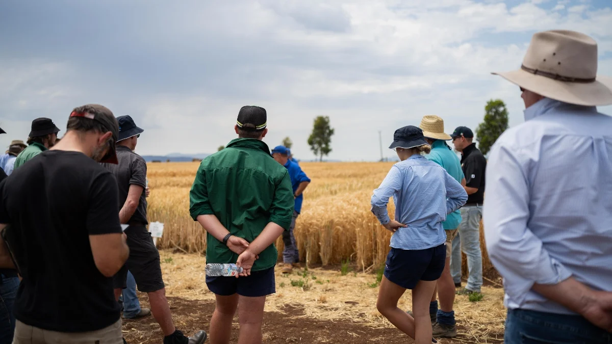 potential buyers at a farm auction