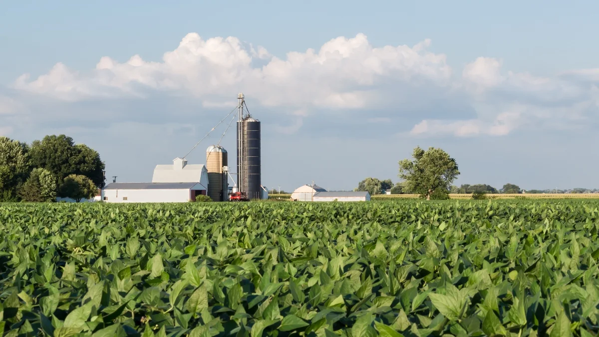 Iowa farm lease and conservation oversight
