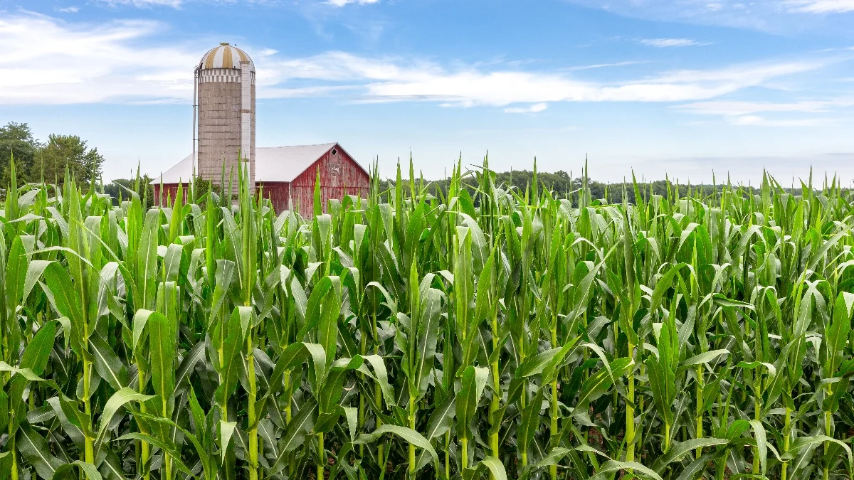 Owelty payments for absentee farmland owners in Iowa