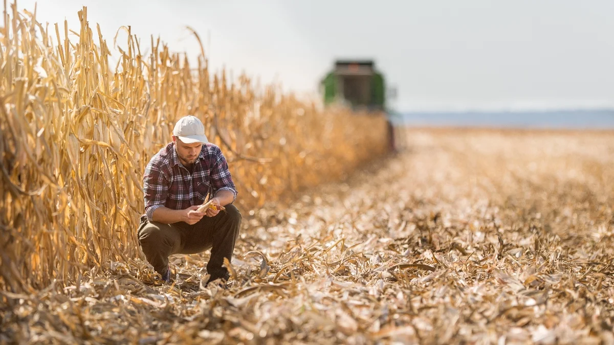Custom farming guide for landowners in Iowa