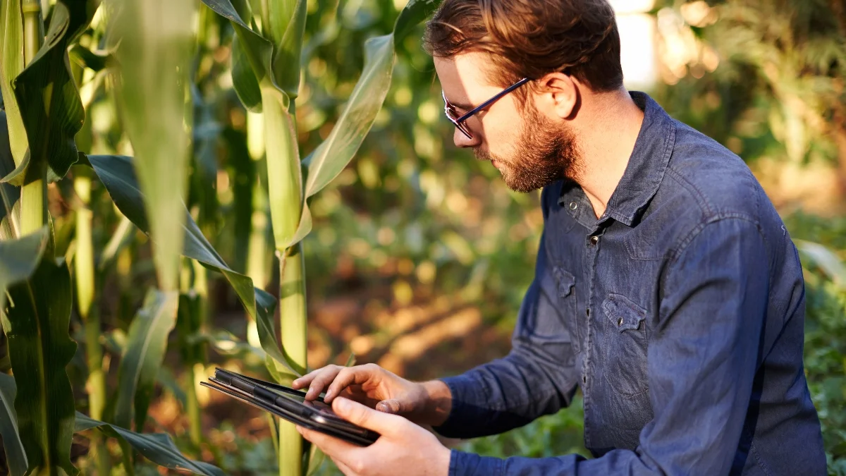 Guide to custom farming in Iowa