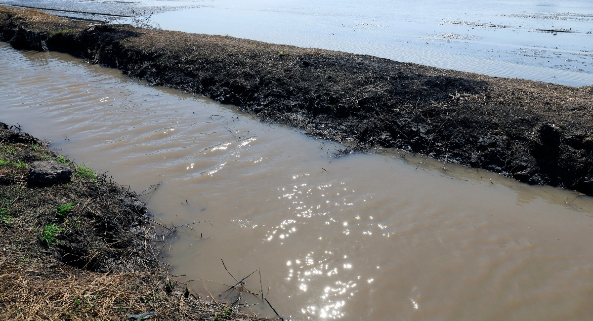 Standing water in crop fields