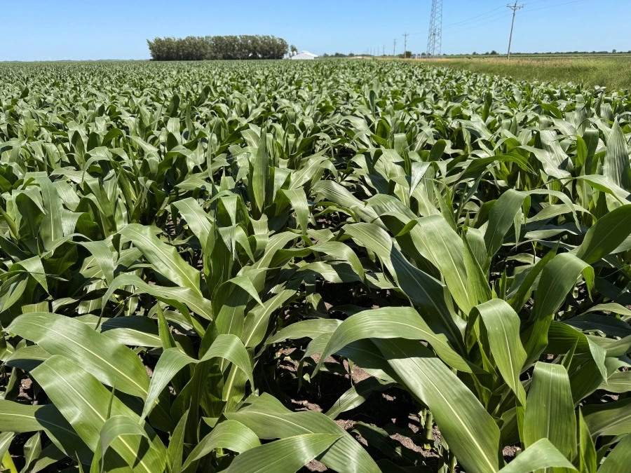 Farm appraisals in Iowa