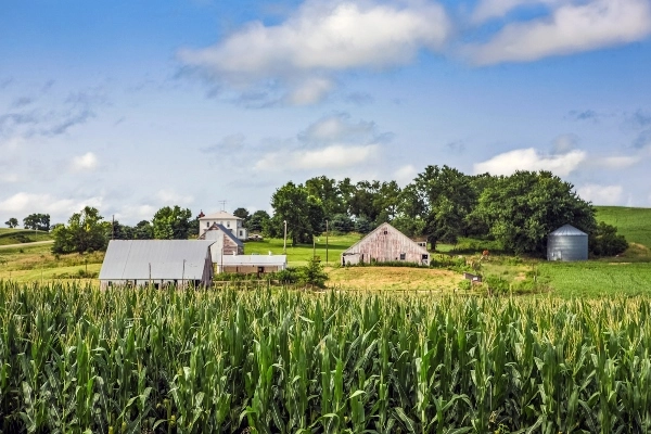Iowa farm management services
