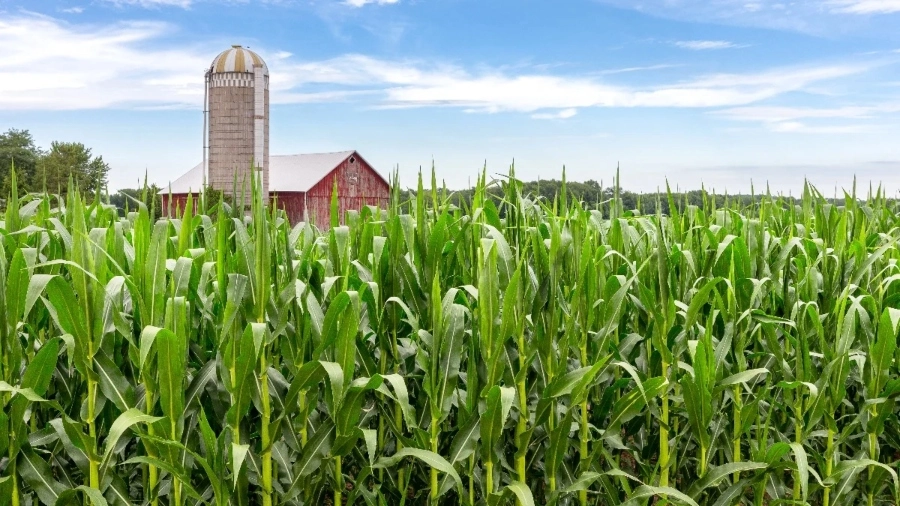 Iowa farm management