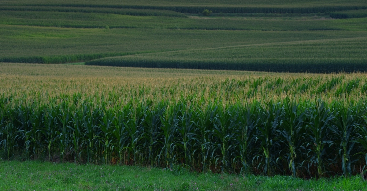 Farm acquisitions in Iowa