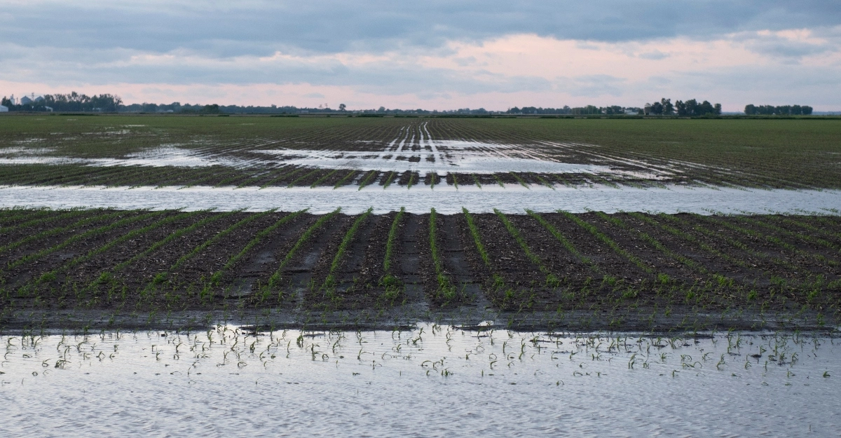 Water and Agriculture Summer 2026
